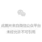 VCE tutoring near me - 02